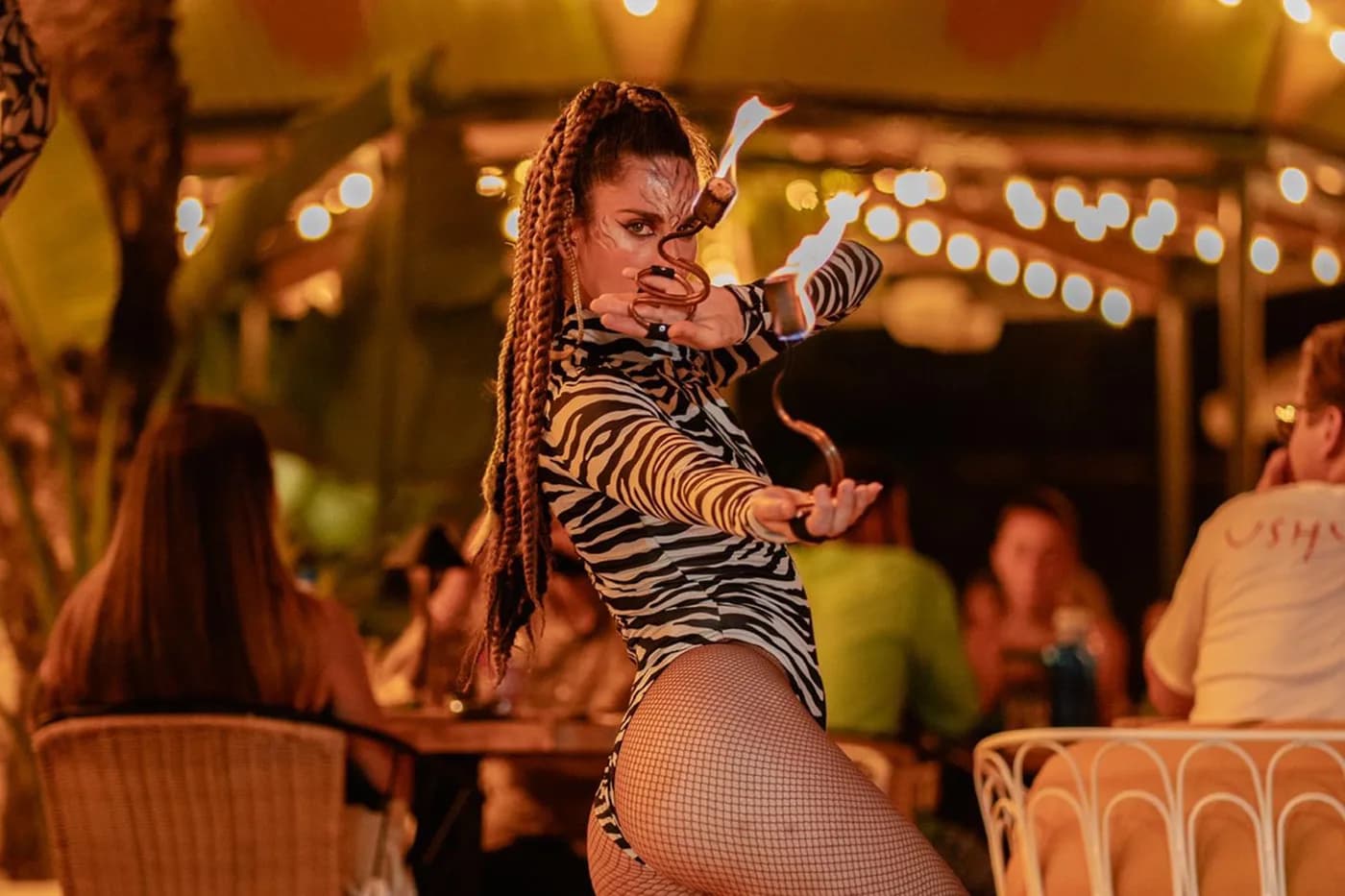 Carousel Dinner Show — 3