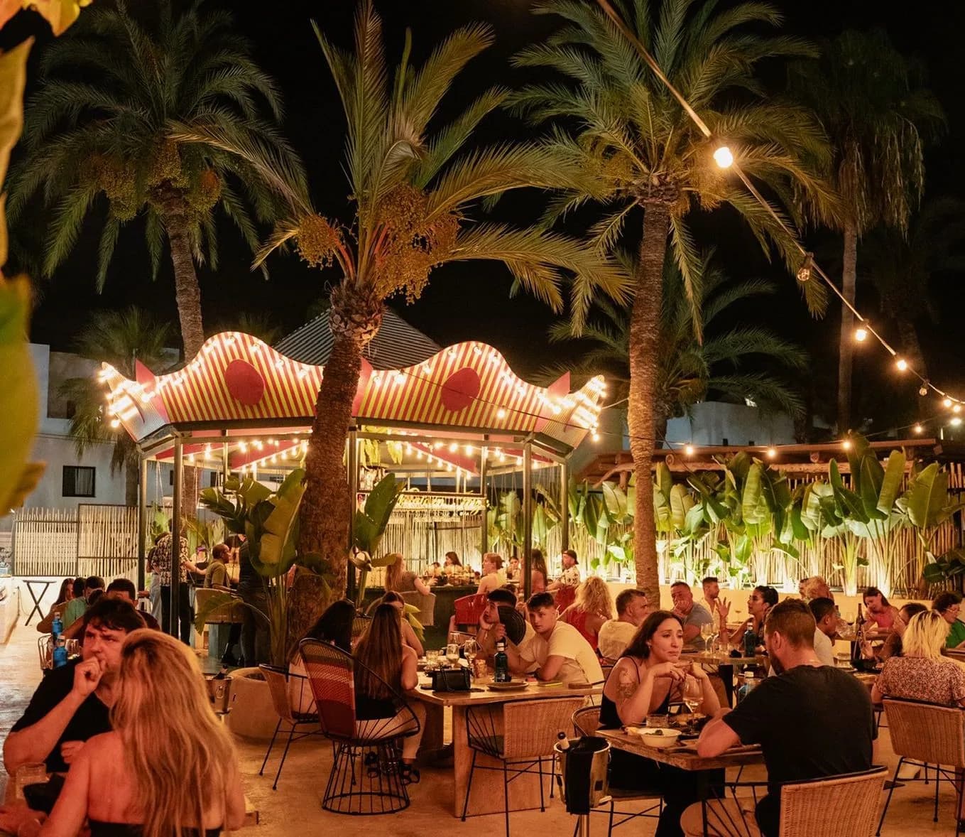 Carousel Dinner Show — 5
